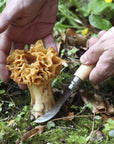 Opinel Oak Mushroom Knife with Brush